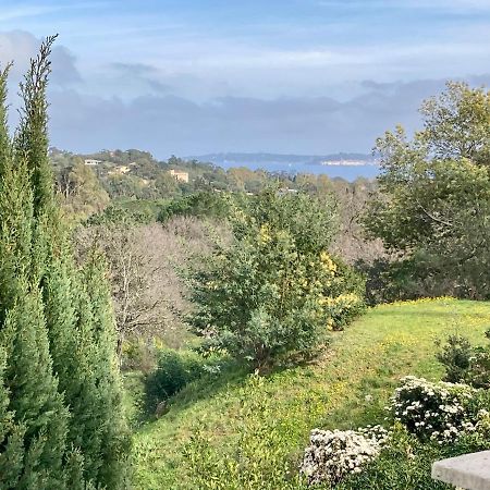Les Restanques Maison 14 Chenes Grimaud Eksteriør bilde