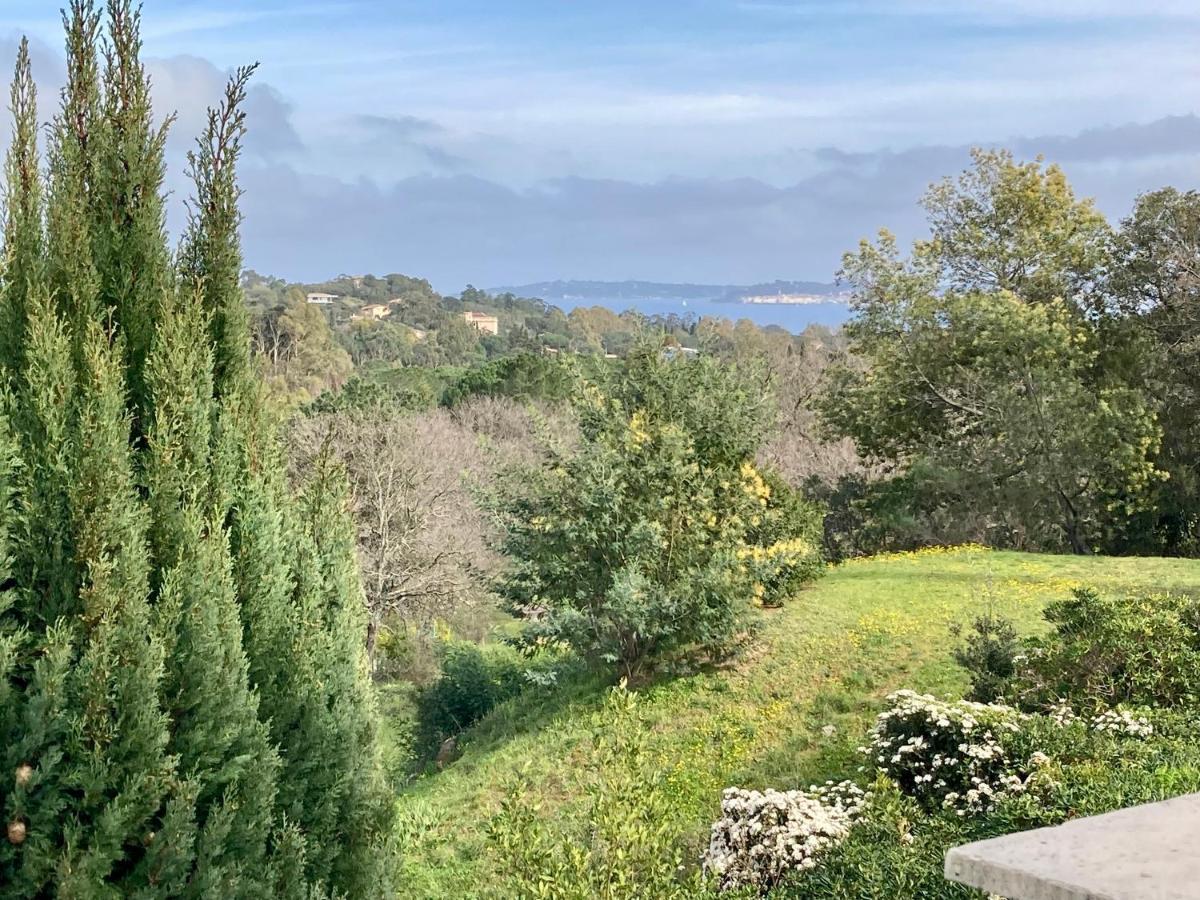 Les Restanques Maison 14 Chenes Grimaud Eksteriør bilde